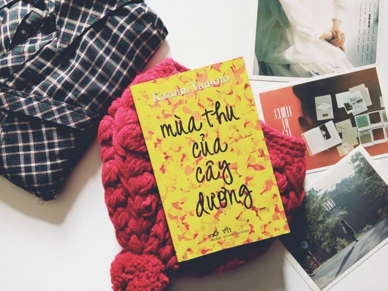 mùa thu của cây dương mùa thu của cây dương